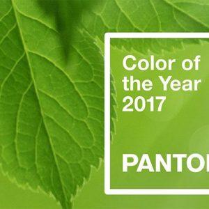Pantone Picks Color of the Year: Greenery