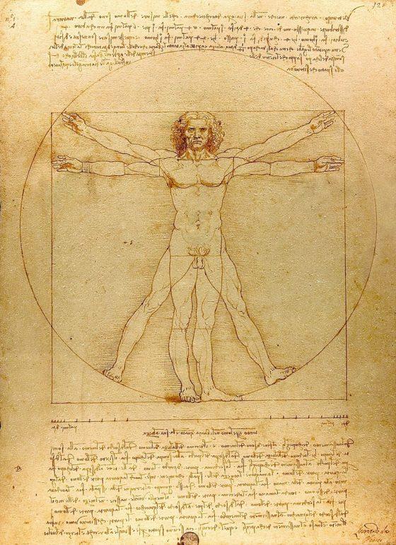 Vitruvian Man - Leonardo Da Vinci - Finding Descendants