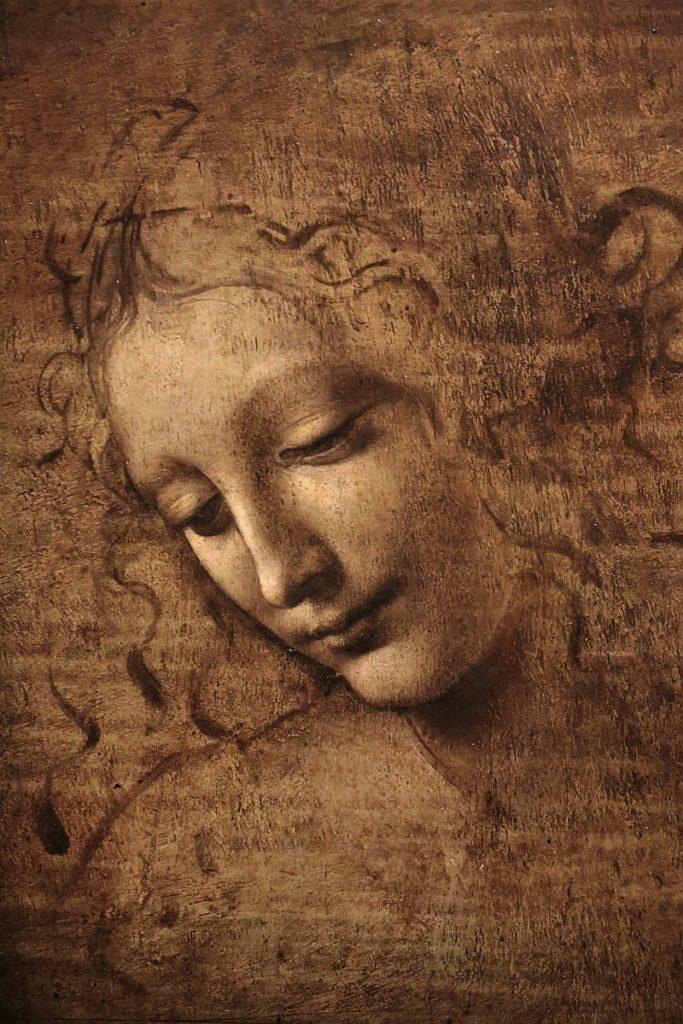 Female Head - Leonardo Da Vinci - Finding Descendants