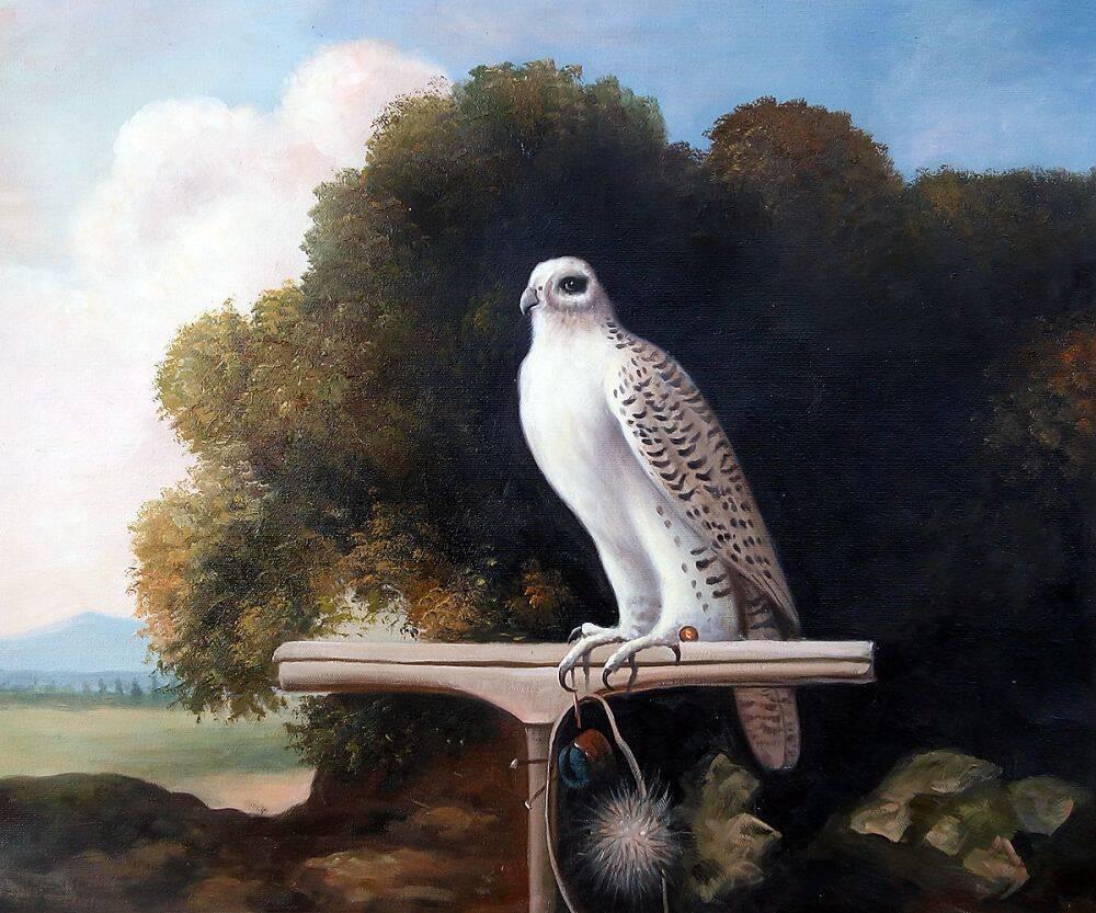 George_Stubbs-Greenland_Falcon