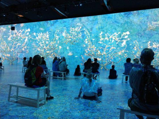 Immersive Van Gogh Experience Files for Bankruptcy